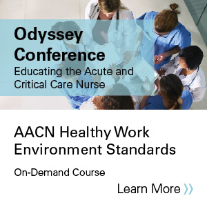 AACN healthy work environment standards: The foundation for an effective crisis response Banner